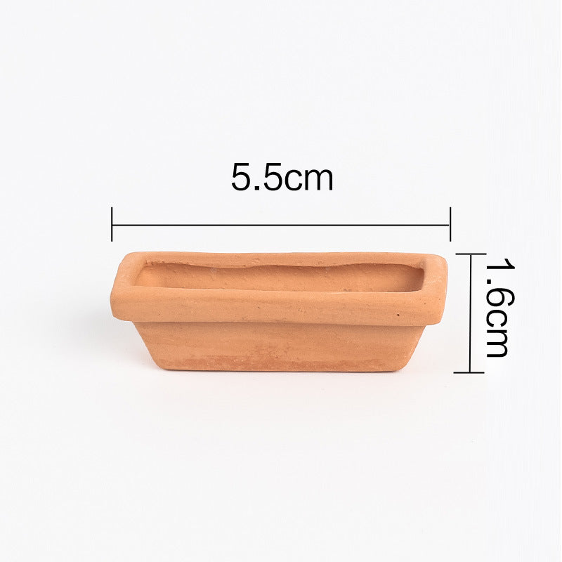 Mini Succulent Pot for Modern Interiors