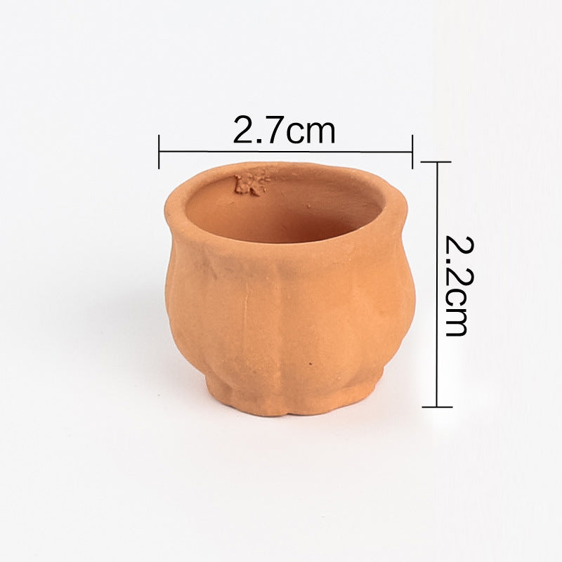 Mini Succulent Pot for Modern Interiors