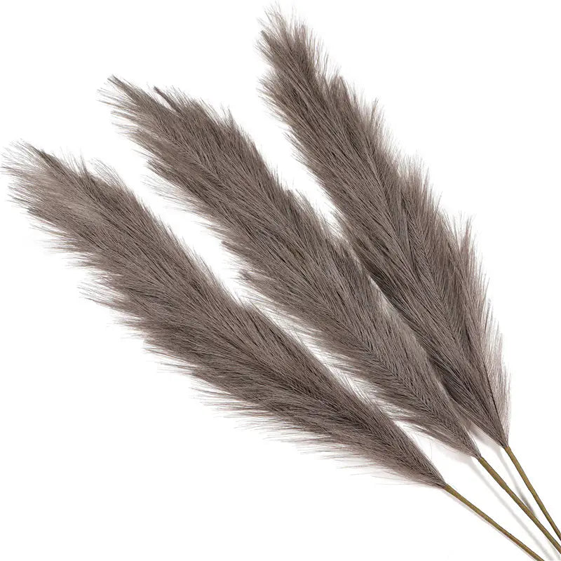 Natural Pampas Grass Decoration for Elegant, Airy Interiors
