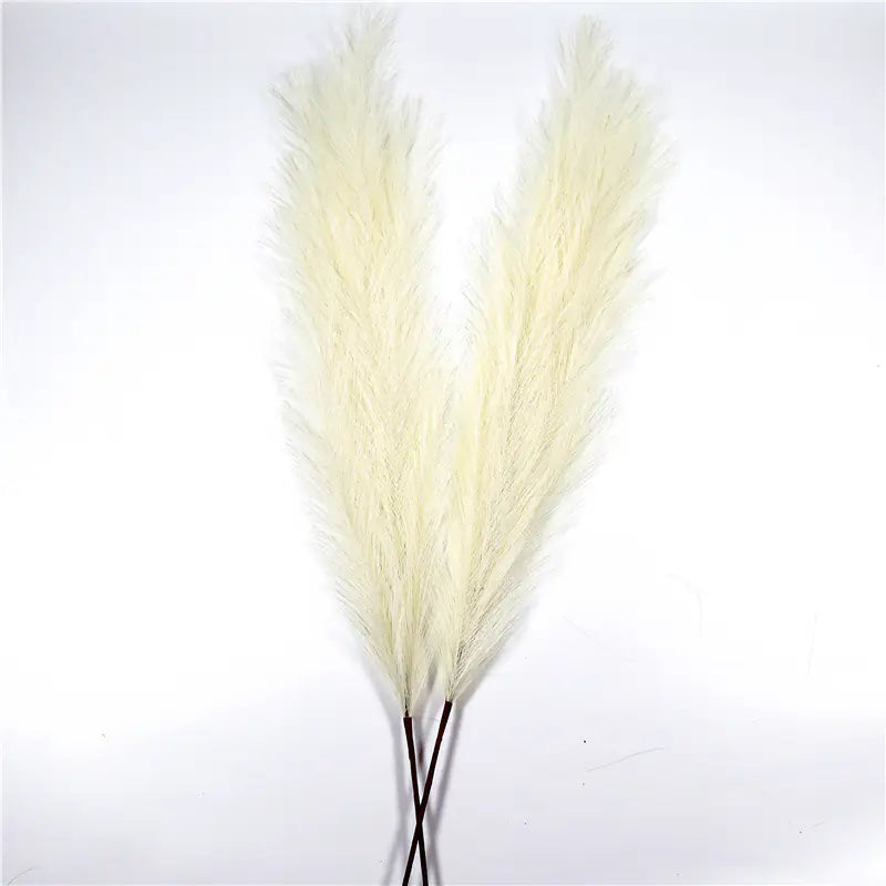 Natural Pampas Grass Decoration for Elegant, Airy Interiors